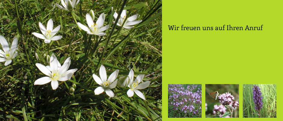 Wir freuen uns auf Ihren Anruf