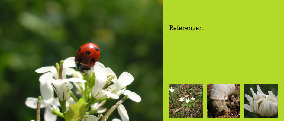 Referenzen